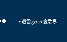 c语言goto啥意思