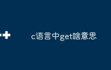 c语言中get啥意思