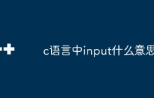 c语言中input什么意思