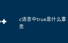 c语言中true是什么意思
