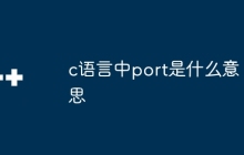 c语言中port是什么意思