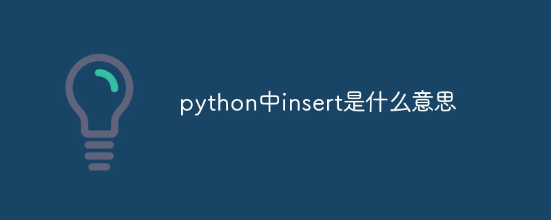 python中insert是什么意思