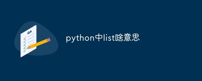 python中list啥意思