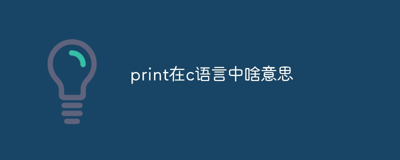 print在c语言中啥意思