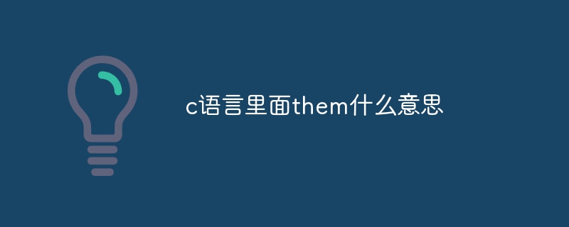 c语言里面them什么意思