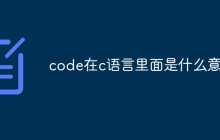 code在c语言里面是什么意思
