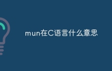 mun在C语言什么意思