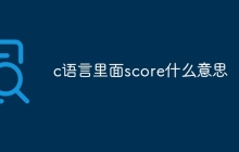 c语言里面score什么意思