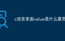 c语言里面value是什么意思