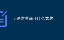 c语言里面tf什么意思