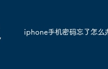 iphone手机密码忘了怎么办