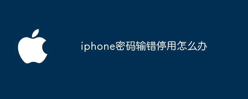 iphone密码输错停用怎么办