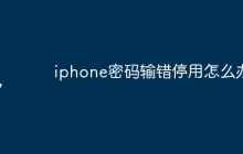 iphone密码输错停用怎么办
