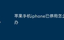 苹果手机iphone已停用怎么办