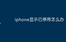 iphone显示已停用怎么办