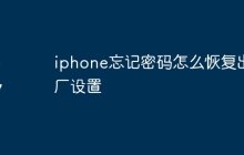 iphone忘记密码怎么恢复出厂设置