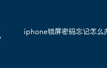 iphone锁屏密码忘记怎么办