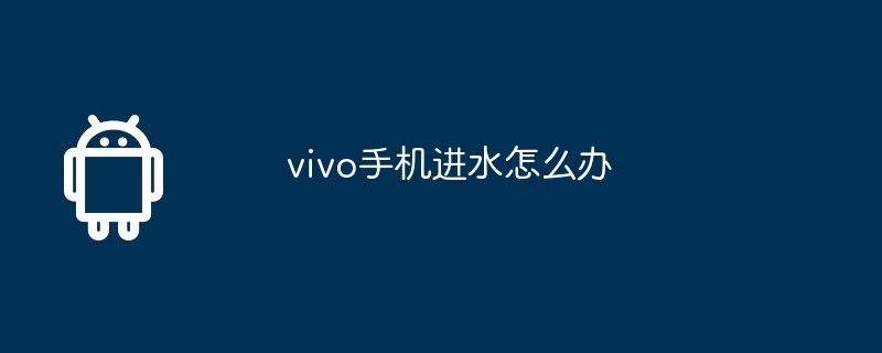 vivo手机进水怎么办