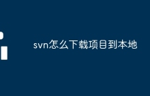 svn怎么下载项目到本地
