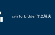 svn forbidden怎么解决