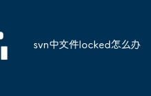 svn中文件locked怎么办