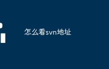 怎么看svn地址