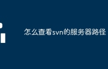 怎么查看svn的服务器路径