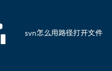 svn怎么用路径打开文件