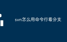 svn怎么用命令行看分支