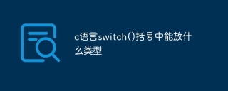 c语言switch()括号中能放什么类型