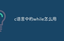 c语言中的while怎么用