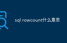 sql rowcount什么意思