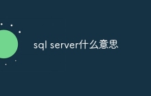 sql server什么意思