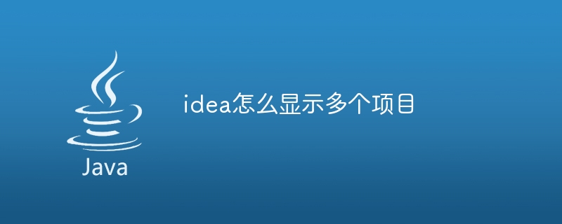 idea怎么显示多个项目
