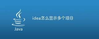 idea怎么显示多个项目