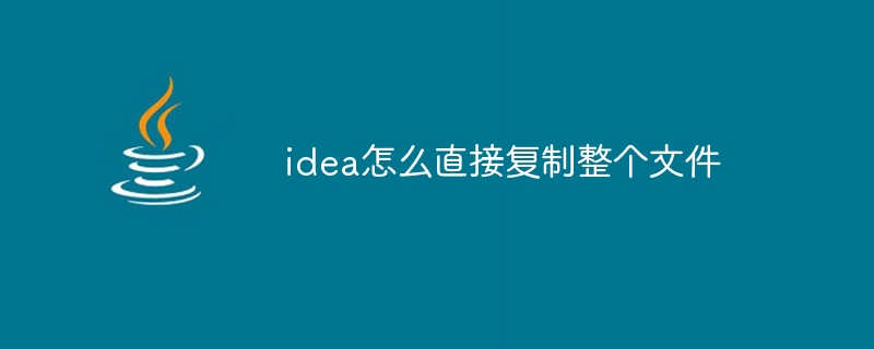 idea怎么直接复制整个文件