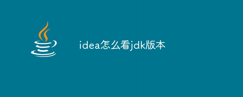 idea怎么看jdk版本