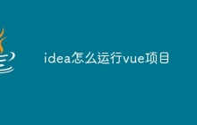 idea怎么运行vue项目