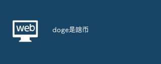 doge是啥币