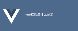 vue挂载是什么意思