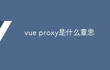 vue proxy是什么意思