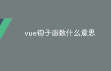 vue钩子函数什么意思