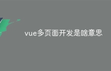 vue多页面开发是啥意思