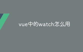 How to use watch in vue