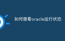 如何查看oracle运行状态