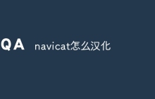 navicat怎么汉化
