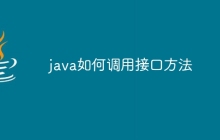java如何调用接口方法
