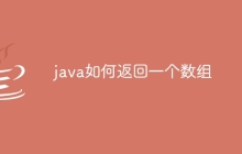 java如何返回一个数组