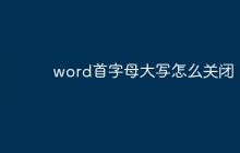 word首字母大写怎么关闭