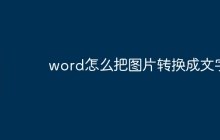word怎么把图片转换成文字